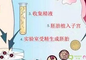 那第三代试管婴儿香港可以做吗？