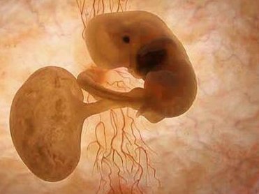 天津公立医院做试管婴儿的流程安排是怎么样的？成功率如何？