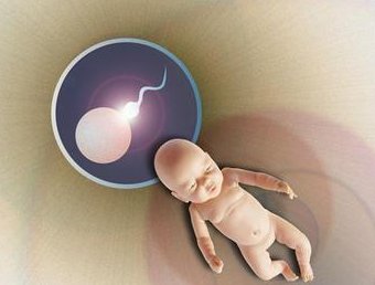 山东青岛到哪边做肾多囊试管